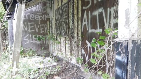 May 31, 2025 - P1220423.JPG