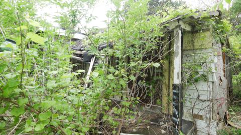 May 31, 2025 - P1220424.JPG