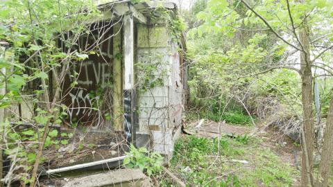 May 31, 2025 - P1220425.JPG