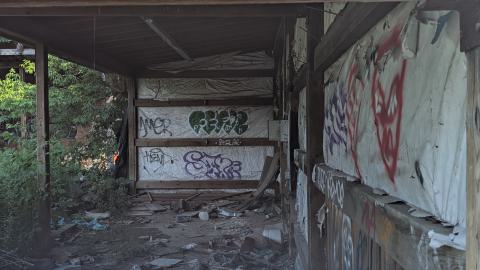 Photo from July 2025