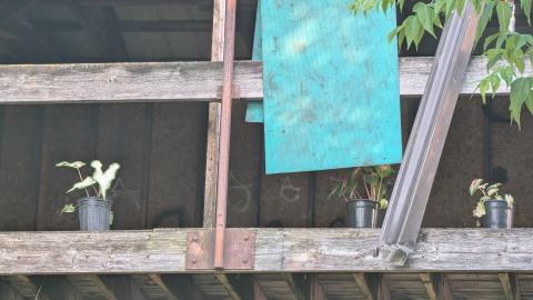 Photo from July 2025