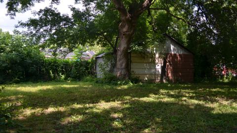 Definitely Not Ideal - DSC_0692.JPG