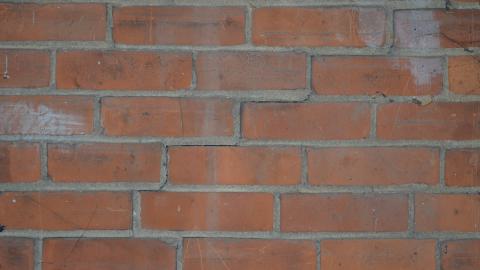 Definitely Not Ideal - DSC_0689.JPG