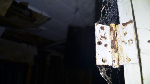 Definitely Not Ideal - DSC_0683.JPG