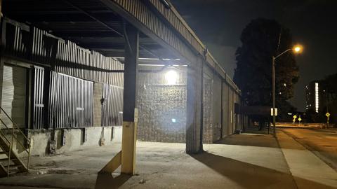 Photo from The Rubber Plant