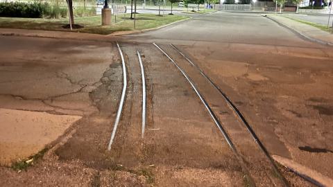 Photo from The Rubber Plant