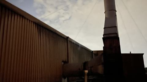 The Rubber Plant - IMG_5480.jpeg