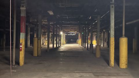 The Rubber Plant cover photo