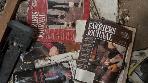 Bike Tour with Fake B - 519276906_18280265791280321_8810737222596729888_n.jpg