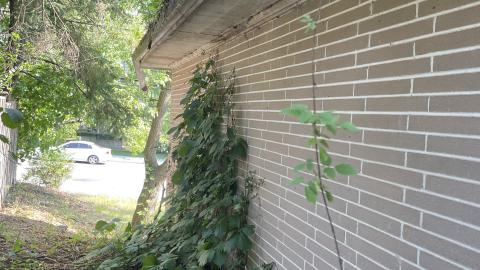 Broken Bungalow - IMG_5734.jpeg