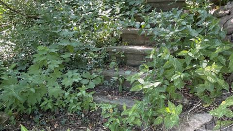 Broken Bungalow - IMG_5736.jpeg