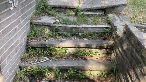 Broken Bungalow - IMG_5737.jpeg