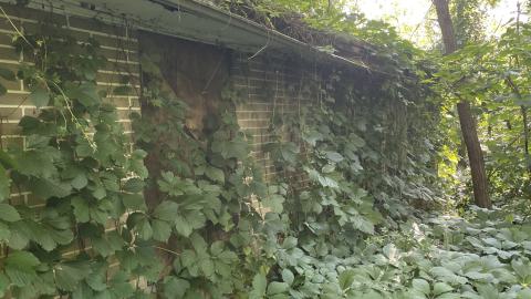 Broken Bungalow - IMG_5716.jpeg