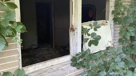 Broken Bungalow - IMG_5713.jpeg