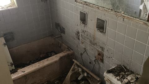 Broken Bungalow - IMG_5729.jpeg