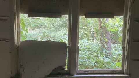 Broken Bungalow - IMG_5732.jpeg