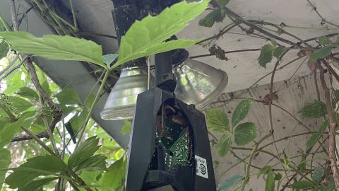 Broken Bungalow - IMG_5733.jpeg