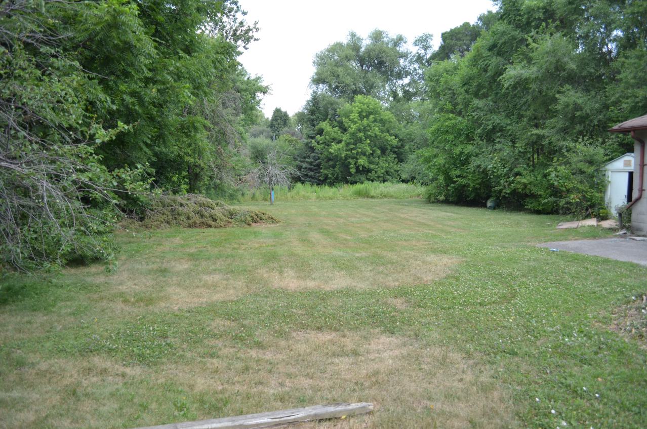 One of Many - DSC_0899.JPG