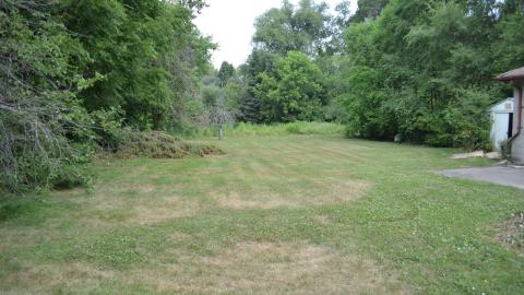 One of Many - DSC_0899.JPG