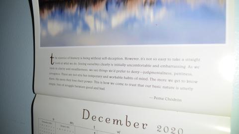 One of Many - DSC_0895.JPG