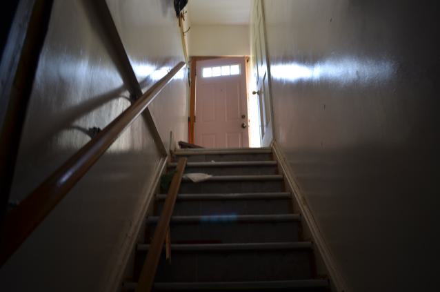 One of Many - DSC_0892.JPG