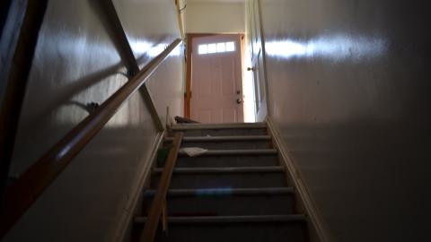 One of Many - DSC_0892.JPG