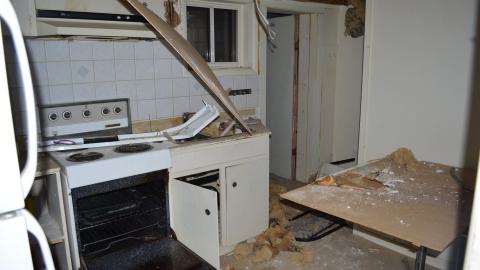 One of Many - DSC_0890.JPG