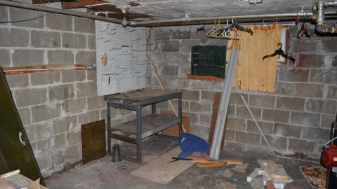 One of Many - DSC_0886.JPG