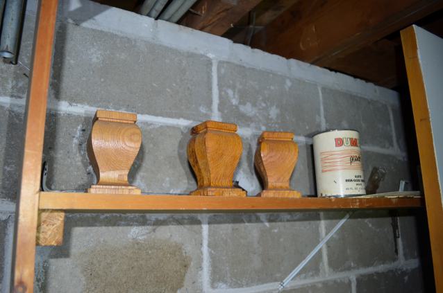 One of Many - DSC_0885.JPG