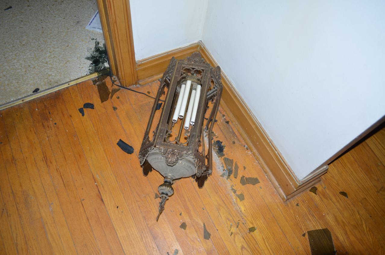 One of Many - DSC_0881.JPG