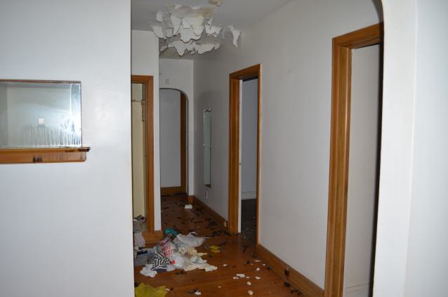 One of Many - DSC_0880.JPG