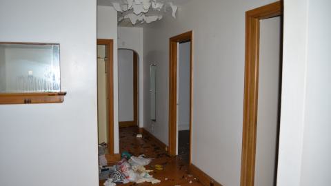 One of Many - DSC_0880.JPG