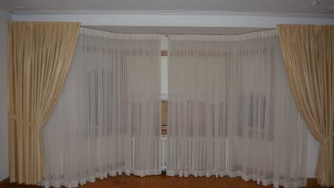 One of Many - DSC_0879.JPG