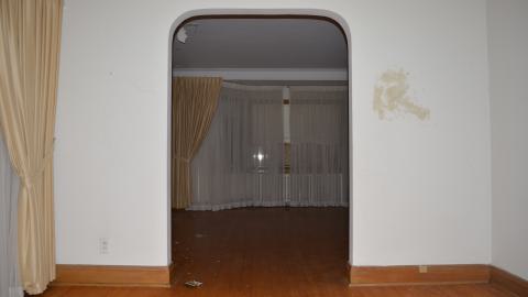 One of Many - DSC_0877.JPG