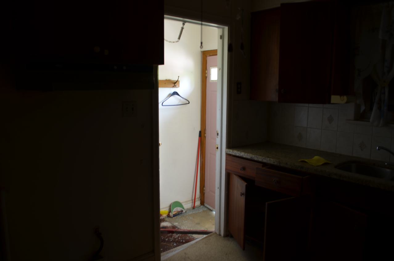 One of Many - DSC_0874.JPG