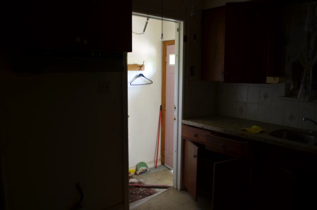 One of Many - DSC_0874.JPG