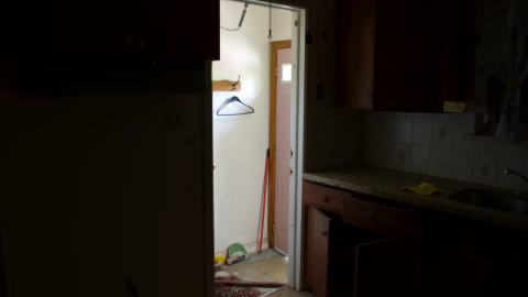 One of Many - DSC_0874.JPG