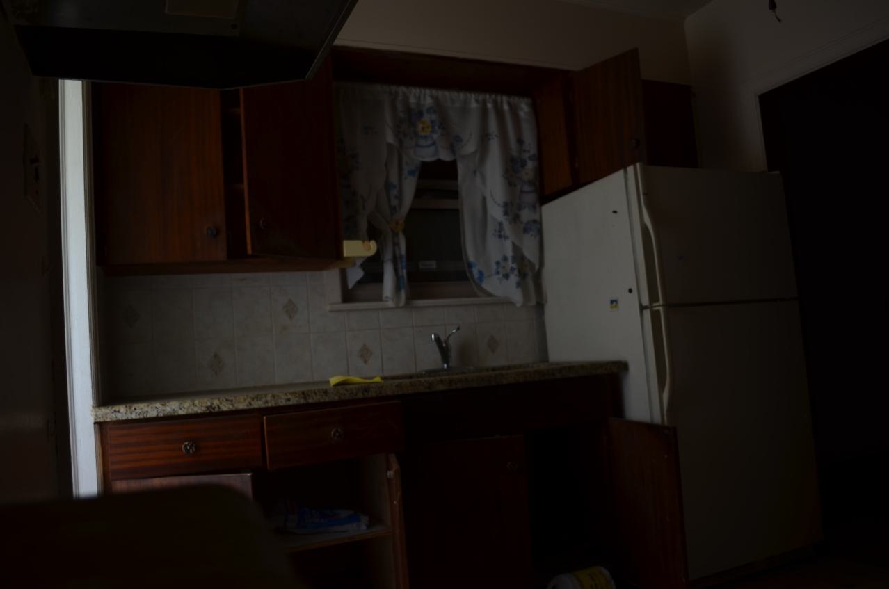 One of Many - DSC_0873.JPG