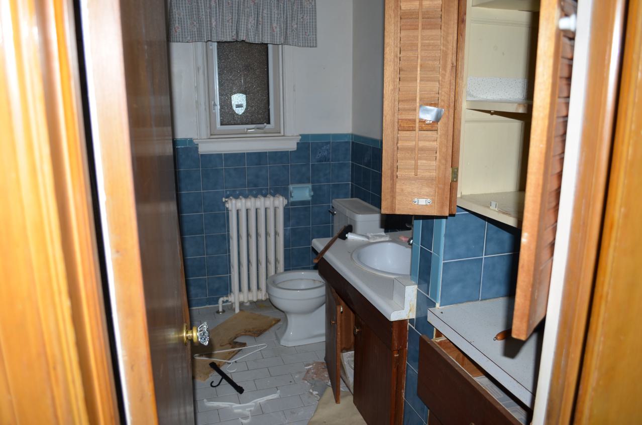 One of Many - DSC_0870.JPG