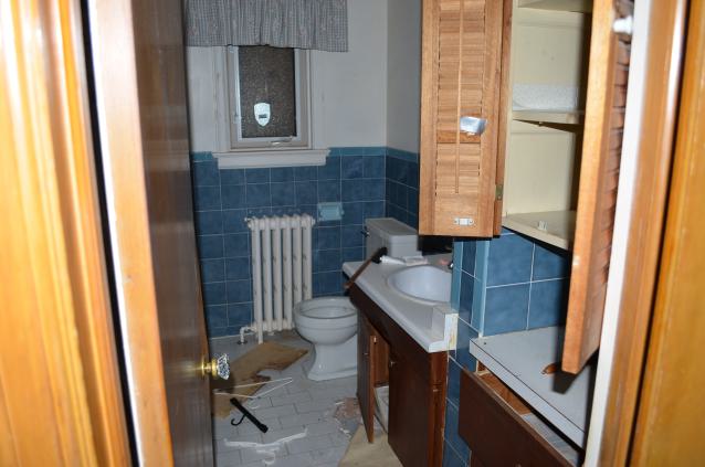 One of Many - DSC_0870.JPG