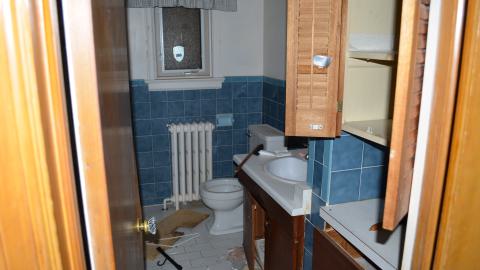 One of Many - DSC_0870.JPG