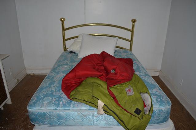 One of Many - DSC_0869.JPG