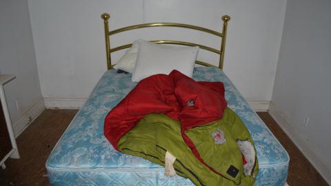 One of Many - DSC_0869.JPG