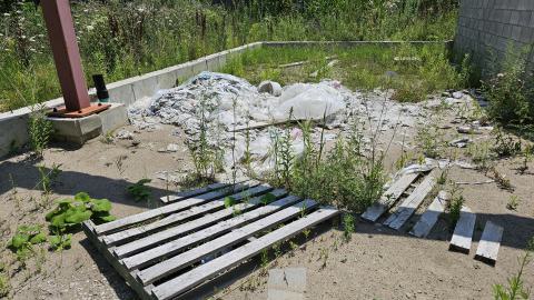 Beam By Beam - 1000003281.jpg