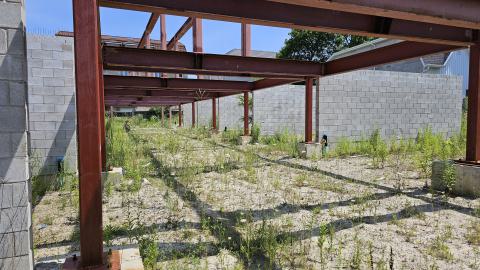 Beam By Beam - 1000003276.jpg