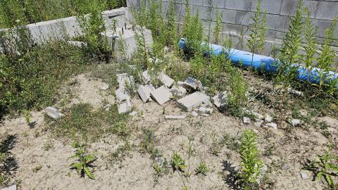 Beam By Beam - 1000003274.jpg