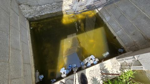 Beam By Beam - 1000003273.jpg