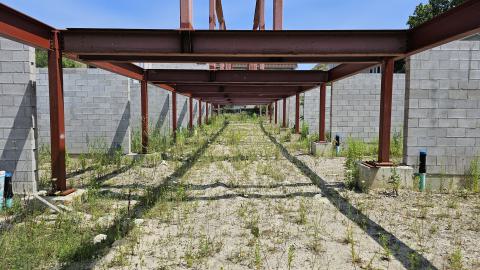 Beam By Beam - 1000003272.jpg