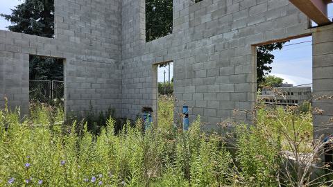 Beam By Beam - 1000003271.jpg