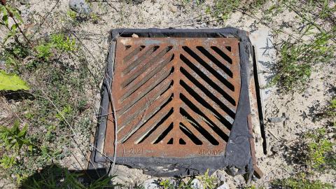 Beam By Beam - 1000003260.jpg